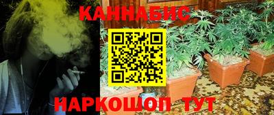 гидропоника Пугачёв