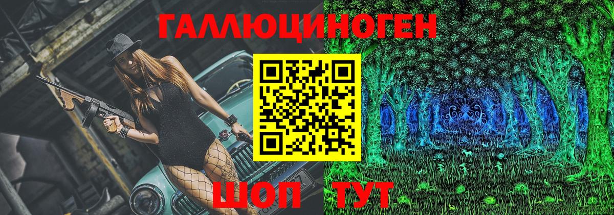 Электрогорск  Псилоцибиновые грибы прущие грибы  Вход с VPN 